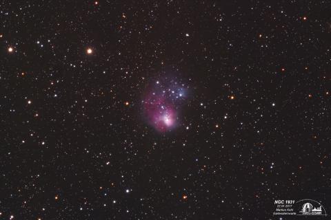 NGC 1931, Ausschnitt 60%